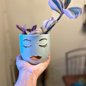 Meet your Posher, Dylan